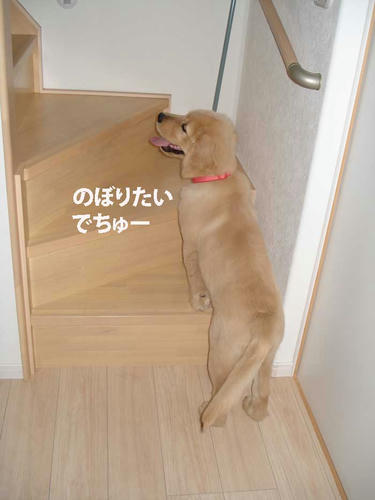 run216.jpg