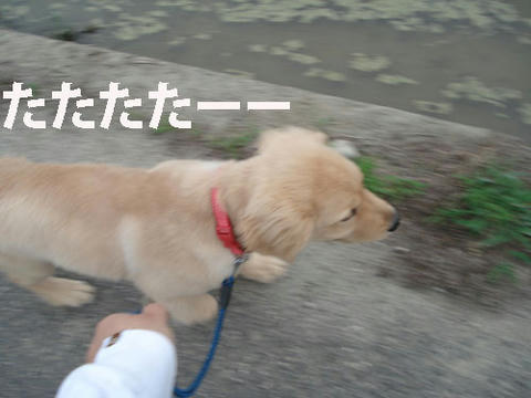 run290.jpg