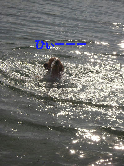 run345.jpg