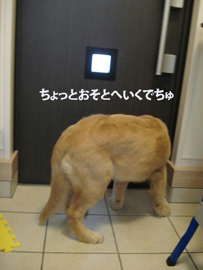 run444.jpg