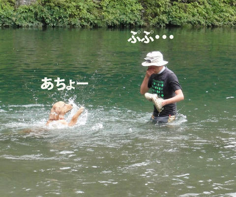 run473.jpg