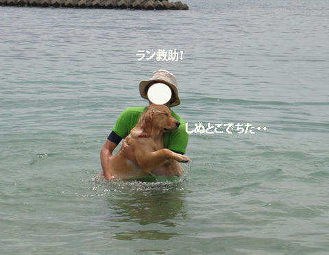 run506.jpg
