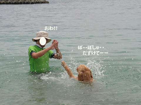 run504.jpg