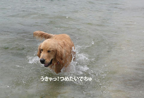 run500.jpg