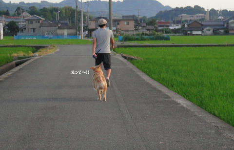 run543.jpg