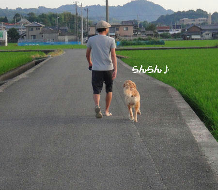 run541.jpg