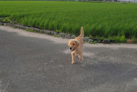 run540.jpg