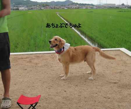 run547.jpg