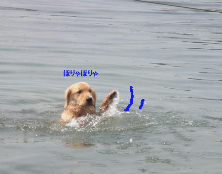 run638.jpg