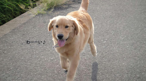 run700.jpg