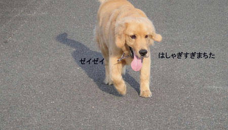 run706.jpg
