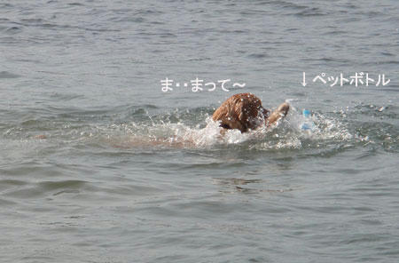 run728.jpg
