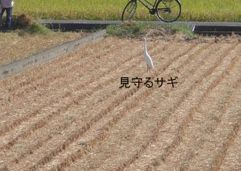 run886.jpg