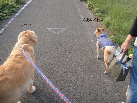 run1008.jpg