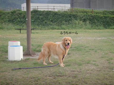run1006.jpg
