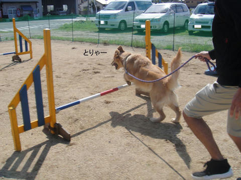 run1052.jpg