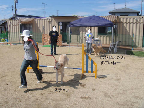 run1045.jpg