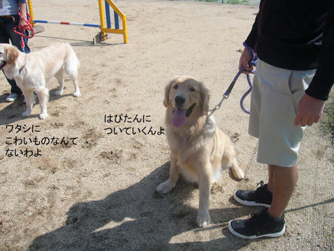 run1039.jpg