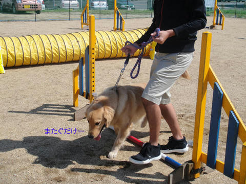 run1029.jpg
