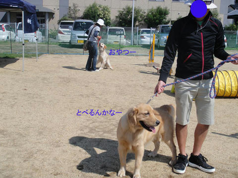 run1028.jpg