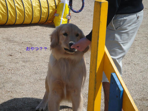 run1024.jpg