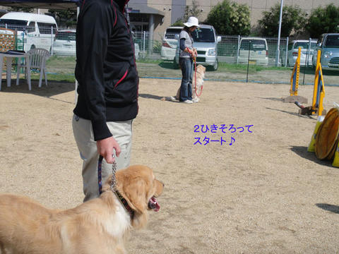 run1023.jpg