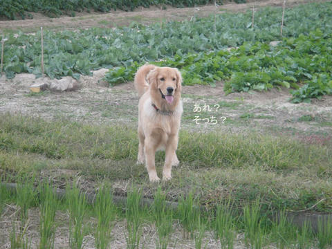 run1118.jpg