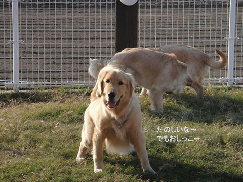 run1188.jpg