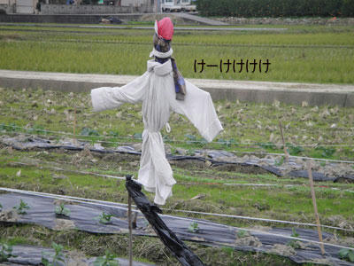 run1275.jpg
