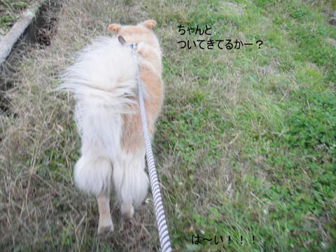 run1289.jpg