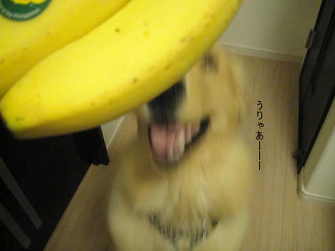 run1300.jpg