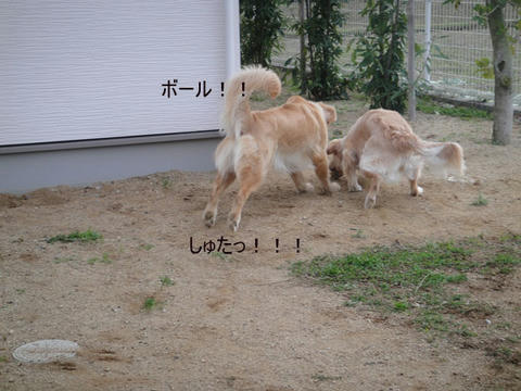 run1316.jpg