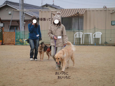 run1363.jpg
