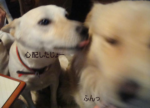 run1382.jpg
