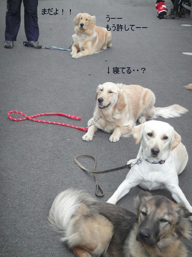 run1423.jpg