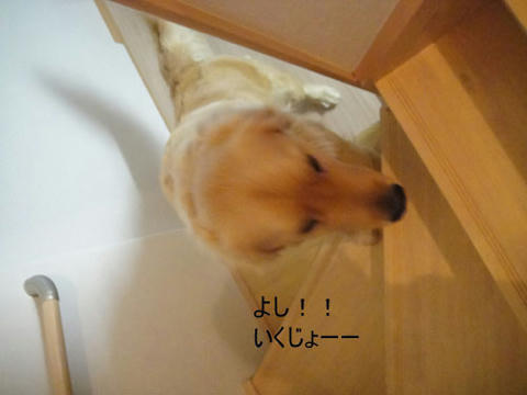 run1606.jpg