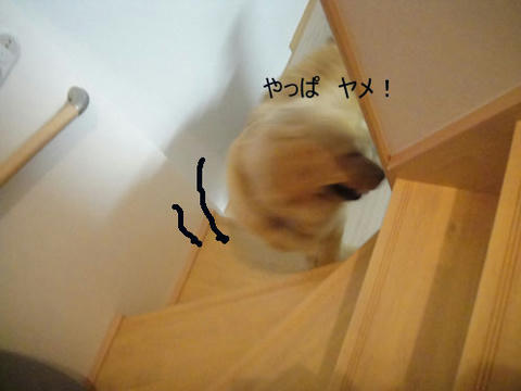 run1603.jpg