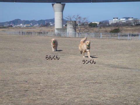 run1740.jpg