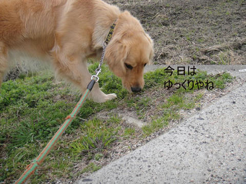 run1806.jpg