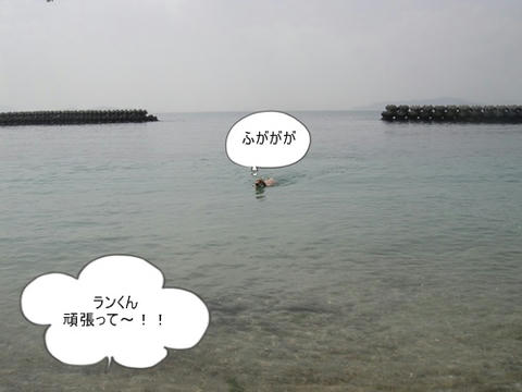 run0320-8.JPG
