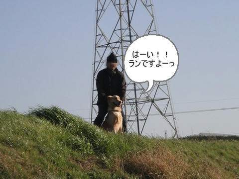run0321-7.JPG