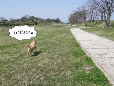 run0322-1.JPG