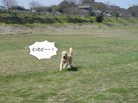 run0322-2.JPG