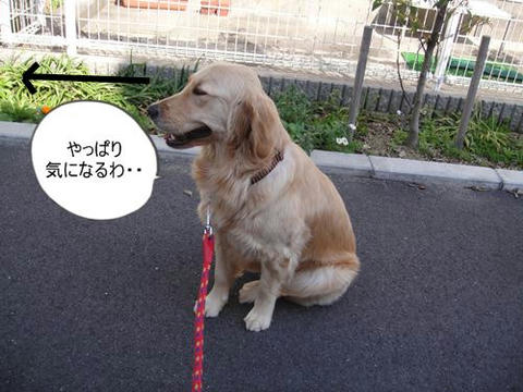 run0417-10.JPG