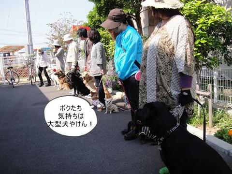 run0502-4.JPG