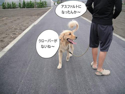run0613-9.JPG