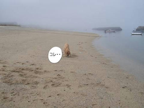 run0620-5.JPG