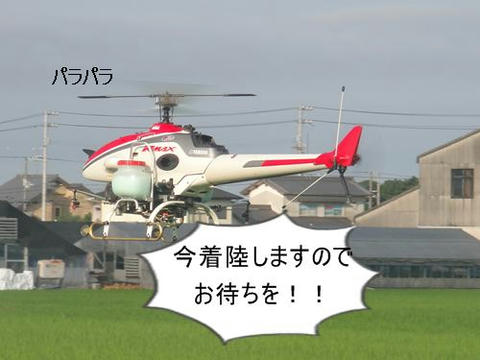 run0723-2.JPG