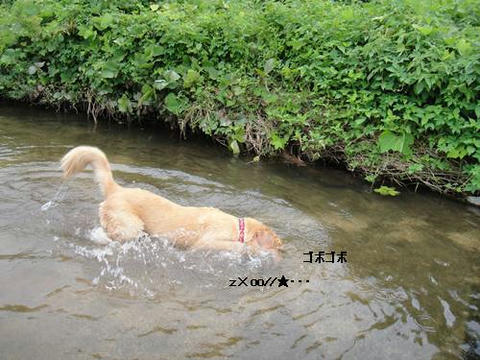 run0801-12.JPG