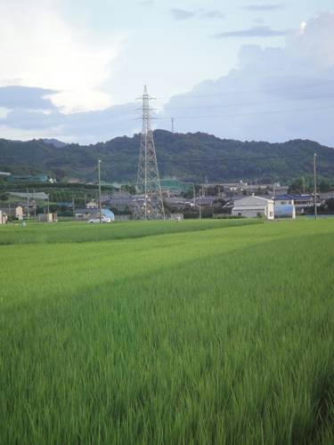 run0807-1.JPG